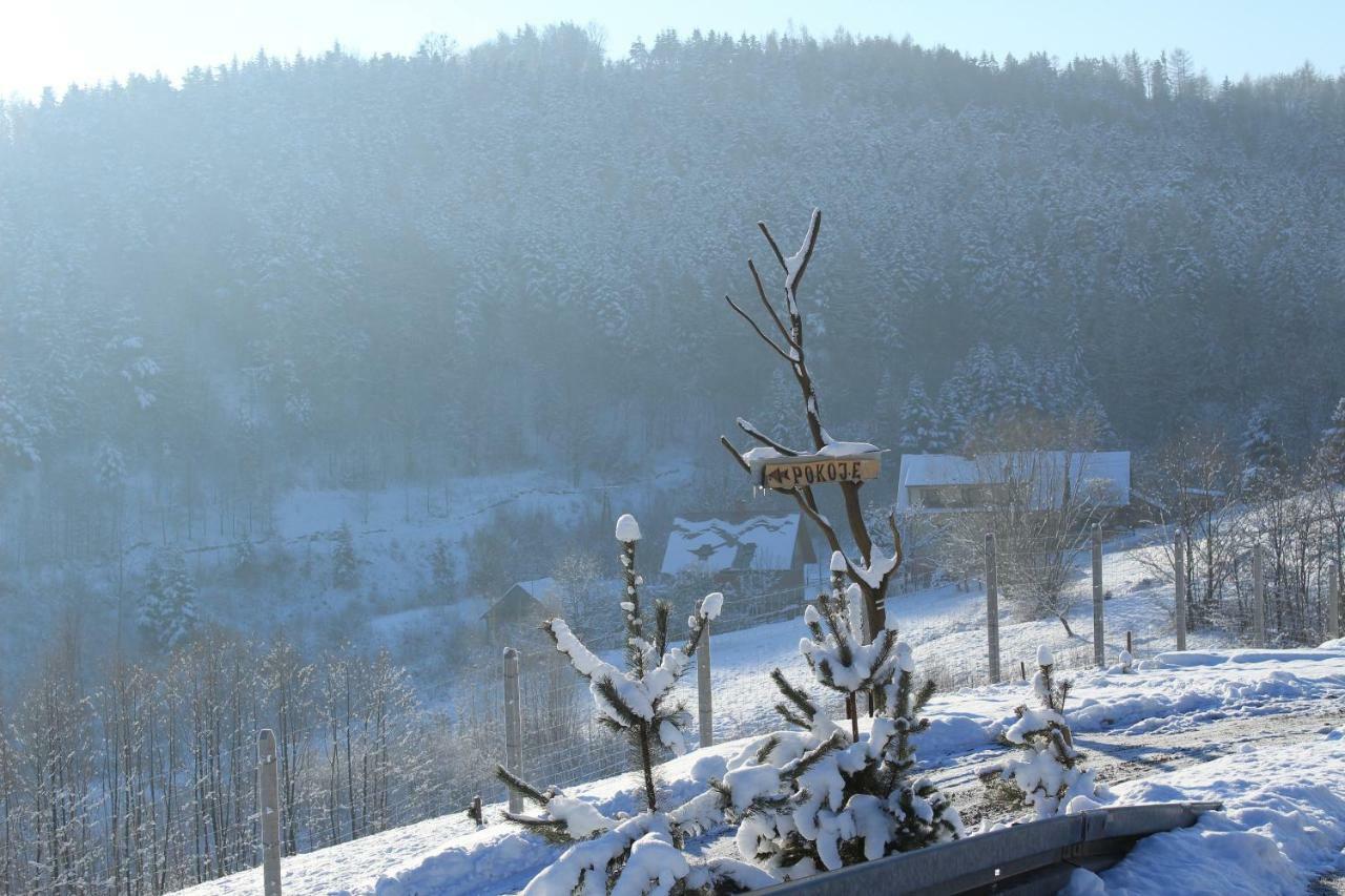 Vila Nad Zalewem Jaszczurowa Exteriér fotografie