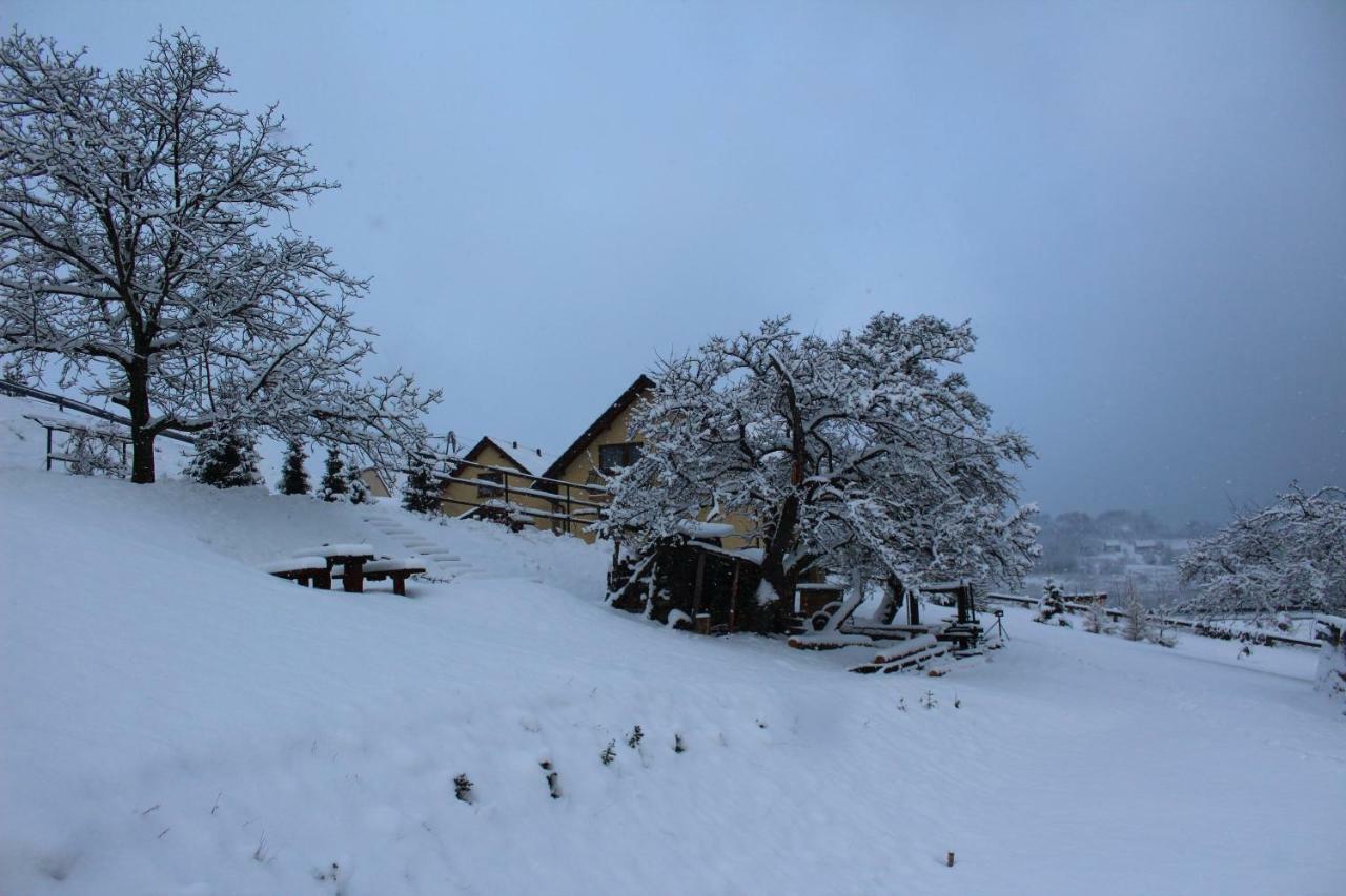 Vila Nad Zalewem Jaszczurowa Exteriér fotografie