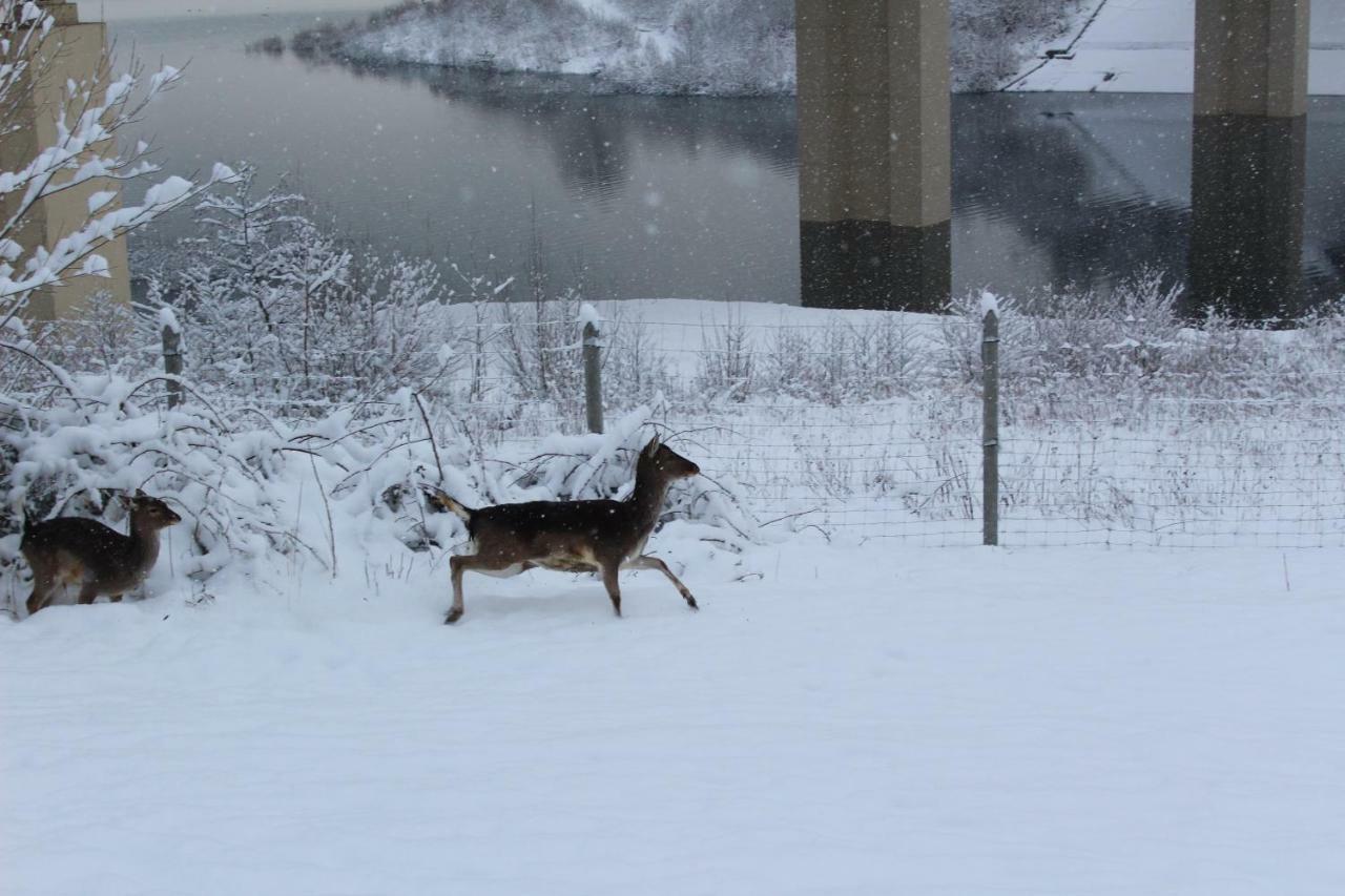 Vila Nad Zalewem Jaszczurowa Exteriér fotografie