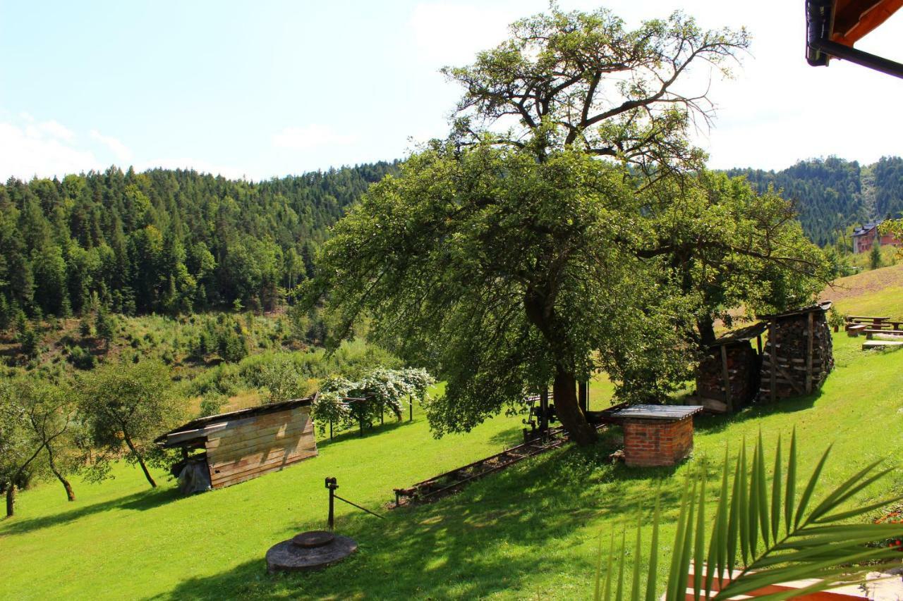 Vila Nad Zalewem Jaszczurowa Exteriér fotografie